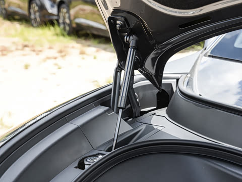 2025�� Max �����