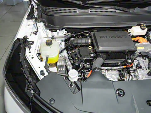 2026�� 165km ������������ 7��