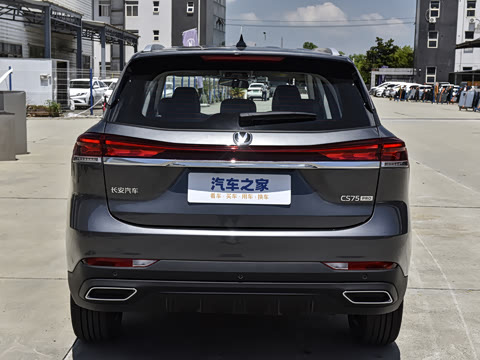 2025�� PRO 1.5T DCT ������ 5��