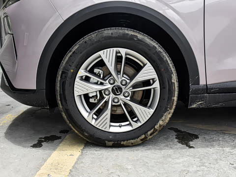 2025�� 445km ��ѡ��