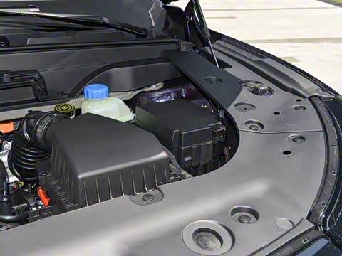 2026�� �������̼�����