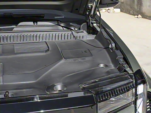 2025�� 501���������