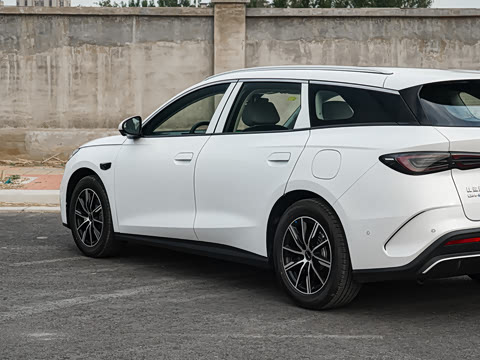 2025�� DM-i 80KM�����