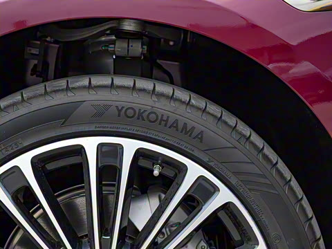 2025�� ���� Max