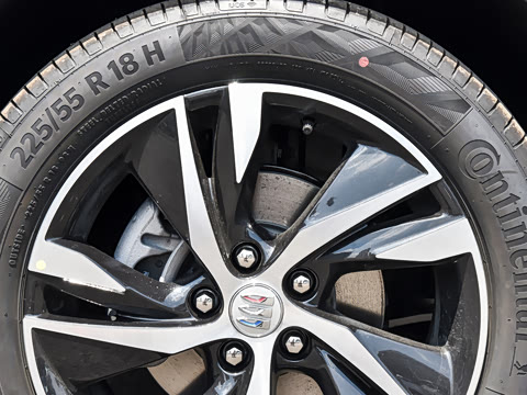 2023�� ��Ȥ��