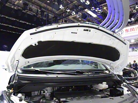 2019�� 2.0T �Զ��콢��