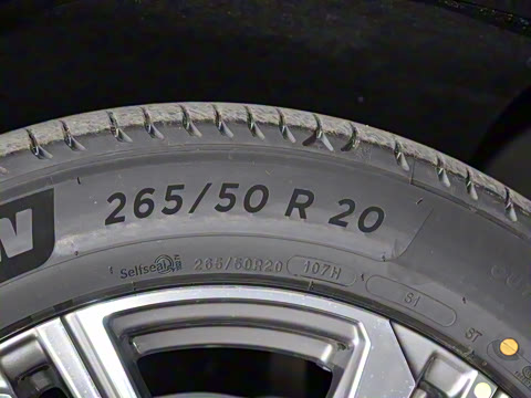 2022�� ��������������