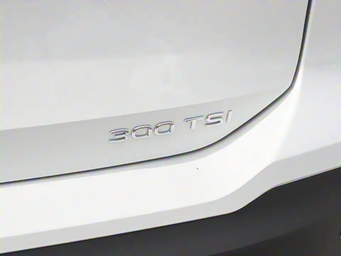 2025�� ̽��L 300TSI ������Ӣ