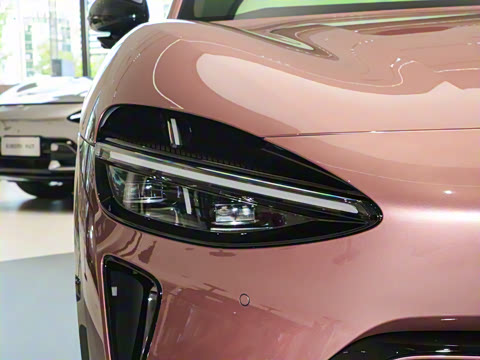 2025�� ��������������