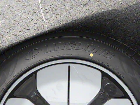 2025�� 310km �ഺ��