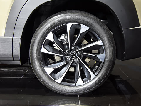 2023�� 2.5L ���а�