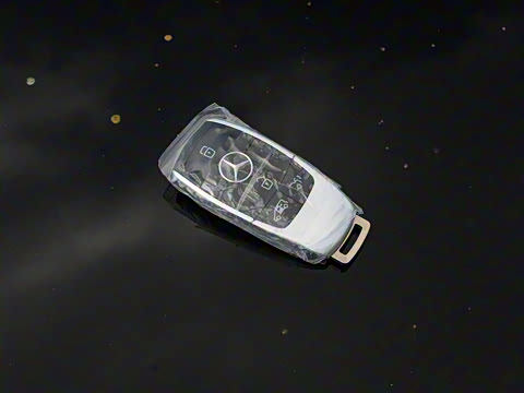 2025�� V 300 �캽��