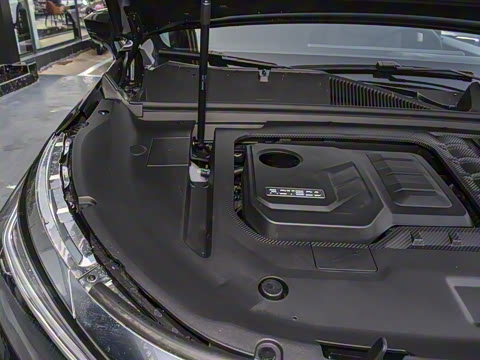 2021�� 390T ������ҫ��������