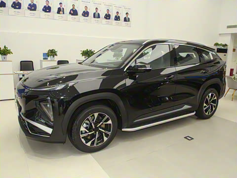 2025�� EM-i 115km Զ����