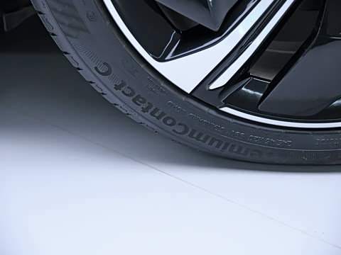 2023�� ����������Max��