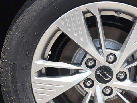 2025�� 445km ���ð�