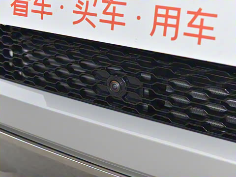 2021�� ����L P300e ������