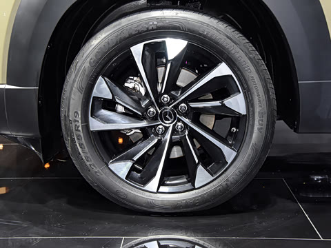 2023�� 2.5L ���а�