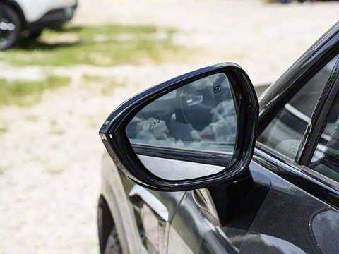 2025�� Max �����