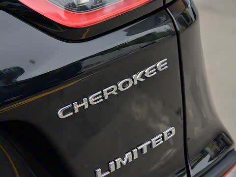 2019�� 2.0T ����ר���� ��VI