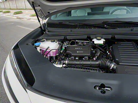 2025�� DM-i 170�캽Plus��