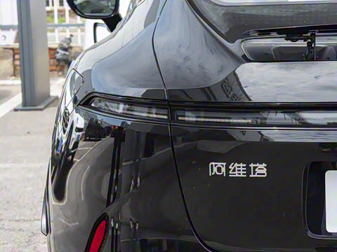 2025�� Max ���������