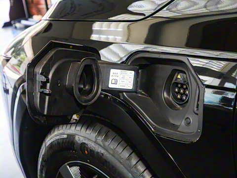 2025�� ����������Plus