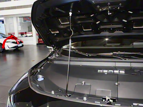 2025�� ����������Plus