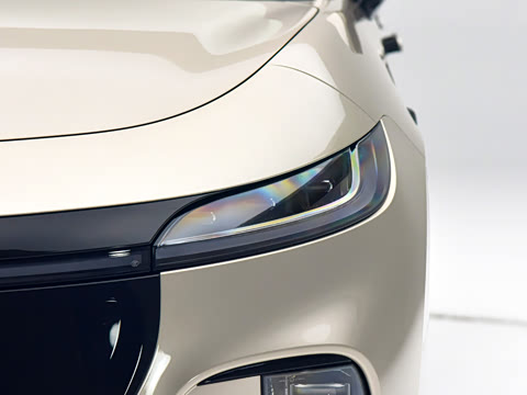 2025�� ����Ǭ����