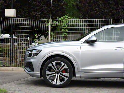 2019�� 55 TFSI ����������