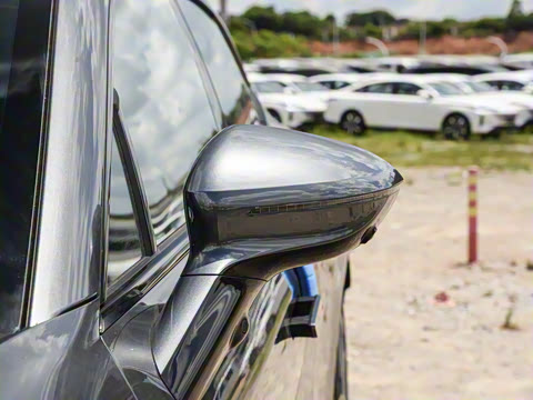 2025�� Max �����