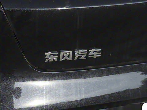 2025�� ���� 230AirѲ����