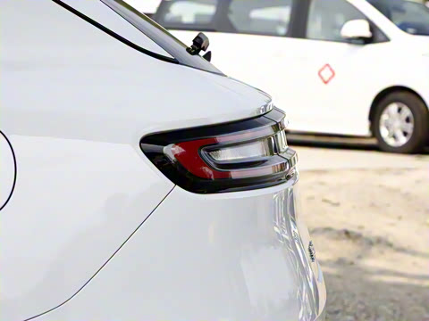 2022�� �������������