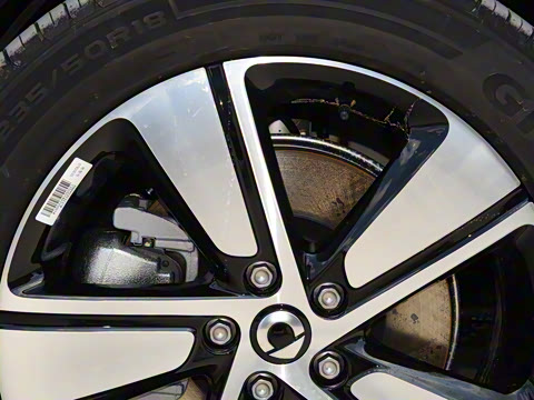 2026�� �鶯��������