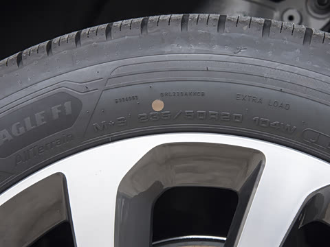 2024�� 1.5T P300e ���ʽ�綯��ϰ�