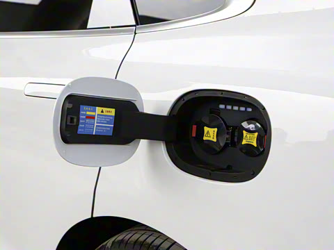 2022�� �������������