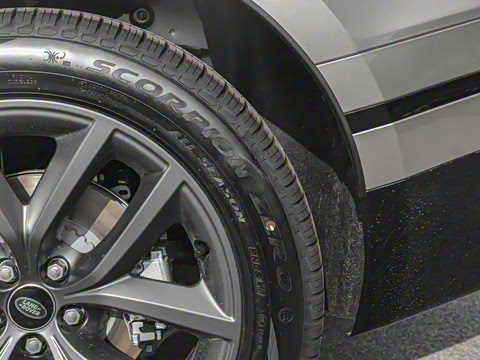 2026�� 250PS Dynamic SE