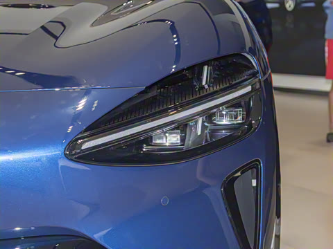 2025�� ������������������Max��