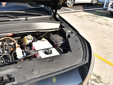 2024�� ���˰� 5��