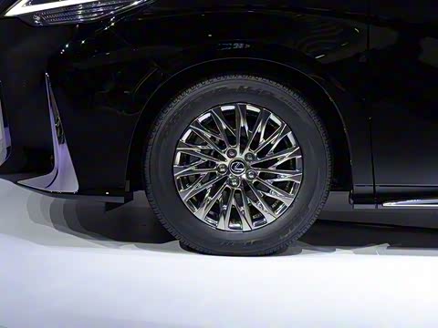 2020�� 300h ����������