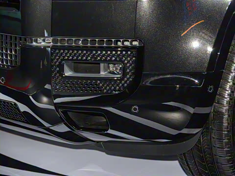 2022�� 110 V8 007��ذ�