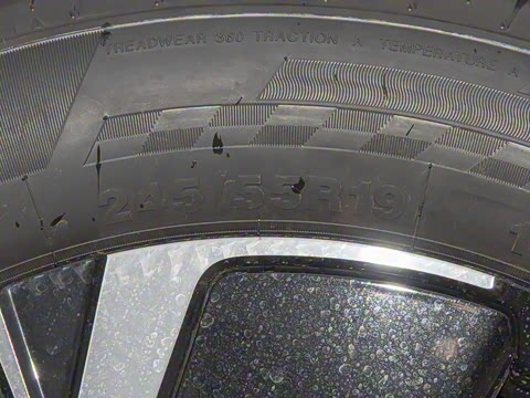 2025�� 145������