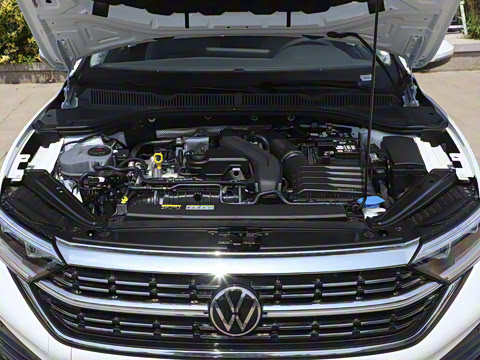 2025�� �Ŀ�� 300TSI DSG׿Խ��