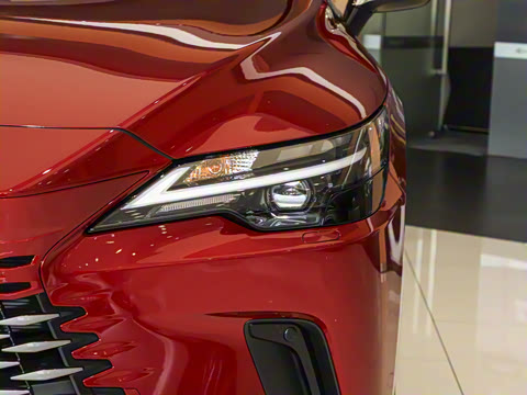 2025�� 300 ����������