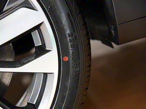 2019�� ������