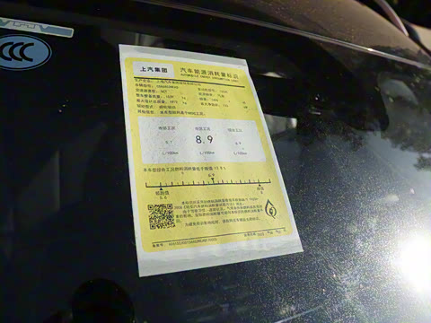 2023�� PLUS 330TGI �Զ��쳱�ǻݰ�