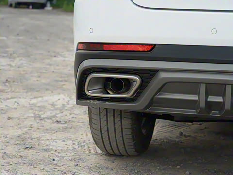 2024�� �ھ��� 290T ������ҫ�� 5��