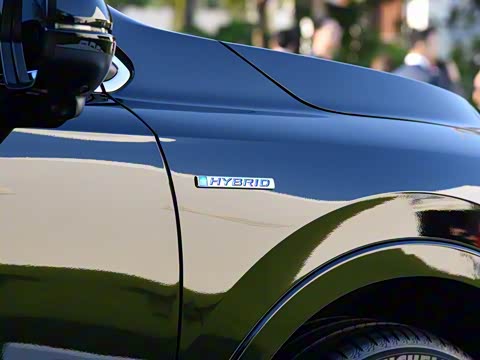 2020�� �񡤻춯 2.0L �����񡤻�ҹ��