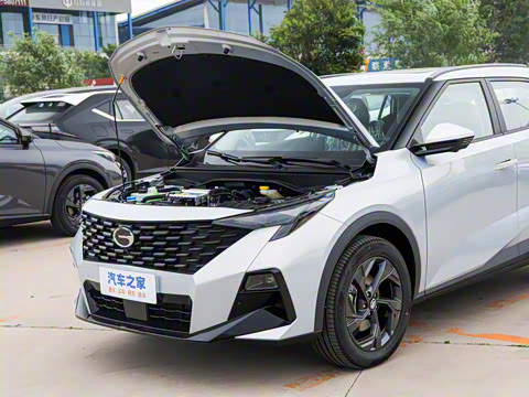 2025�� Ӱ�� 270T ������ ƽ������