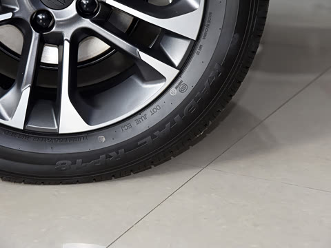 2020�� �緶��